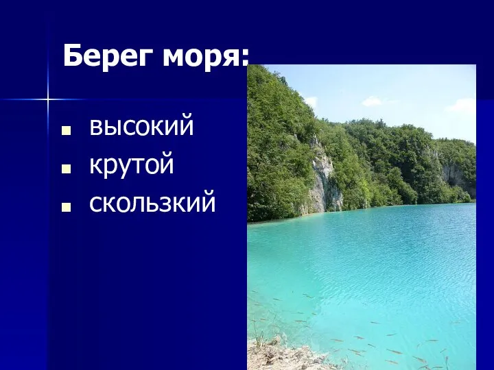 Берег моря: высокий крутой скользкий