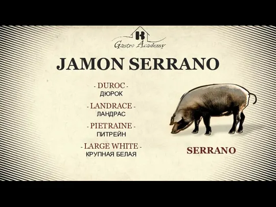 JAMON SERRANO - DUROC - ДЮРОК - LANDRACE - ЛАНДРАС - PIETRAINE