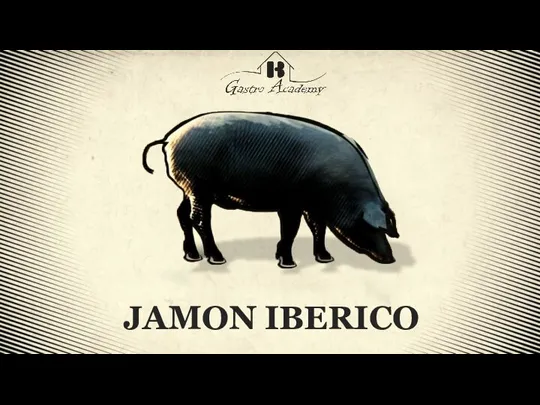 JAMON IBERICO