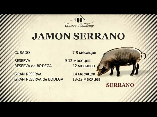 JAMON SERRANO CURADO 7-9 месяцев RESERVA 9-12 месяцев RESERVA de BODEGA 12