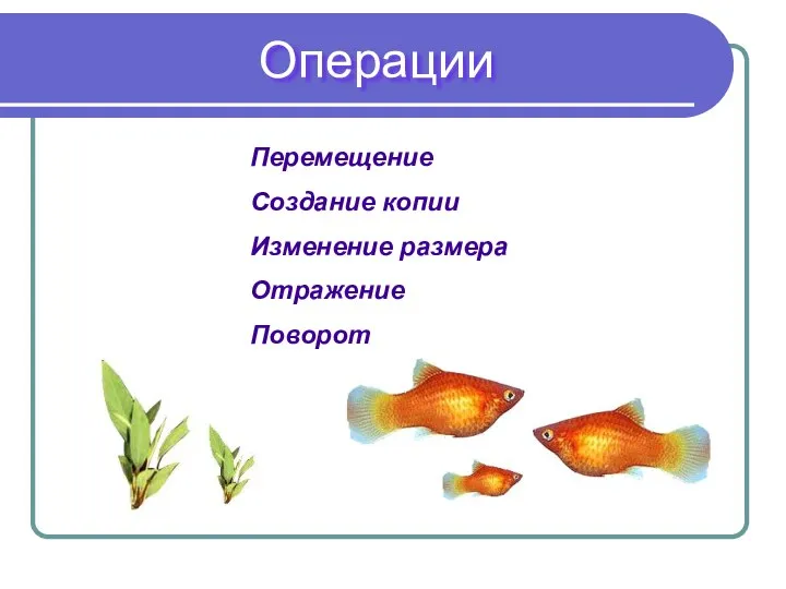 Перемещение Создание копии Изменение размера Отражение Поворот Операции