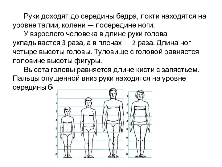 Руки доходят до середины бедра, локти находятся на уровне талии, колени —