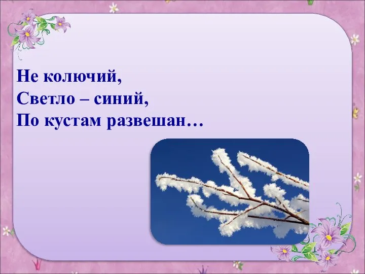 Не колючий, Светло – синий, По кустам развешан…