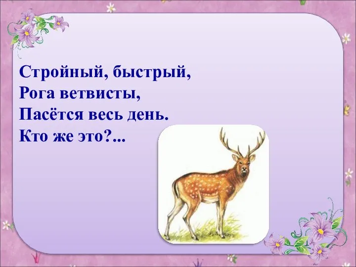 Стройный, быстрый, Рога ветвисты, Пасётся весь день. Кто же это?...