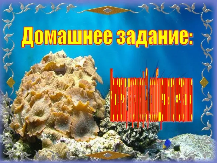 Домашнее задание: Конспект, параграф 3, сообщения по желанию