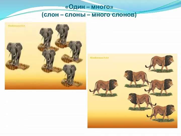 «Один – много» (слон – слоны – много слонов)