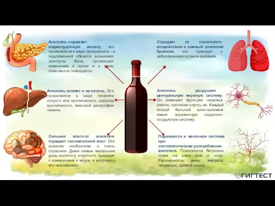 Сильнее всего от алкоголя страдает человеческий мозг. Это влияние необратимо и очень