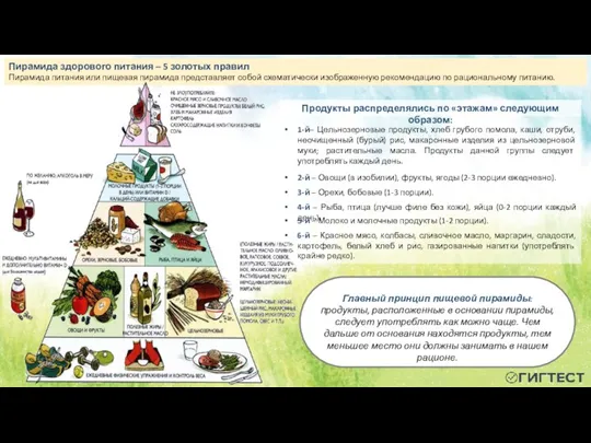 Пирамида здорового питания – 5 золотых правил Пирамида питания или пищевая пирамида