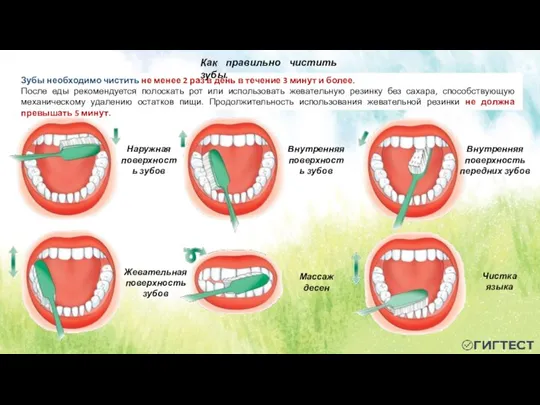 Зубы необходимо чистить не менее 2 раз в день в течение 3