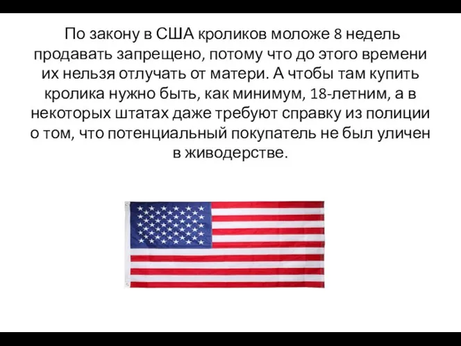 По закону в США кроликов моложе 8 недель продавать запрещено, потому что