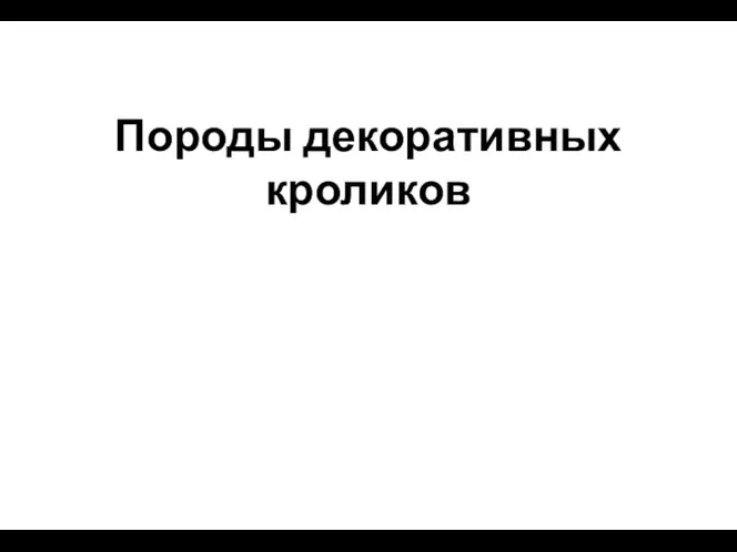 Породы декоративных кроликов