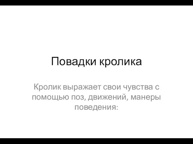 Повадки кролика Кролик выражает свои чувства с помощью поз, движений, манеры поведения: