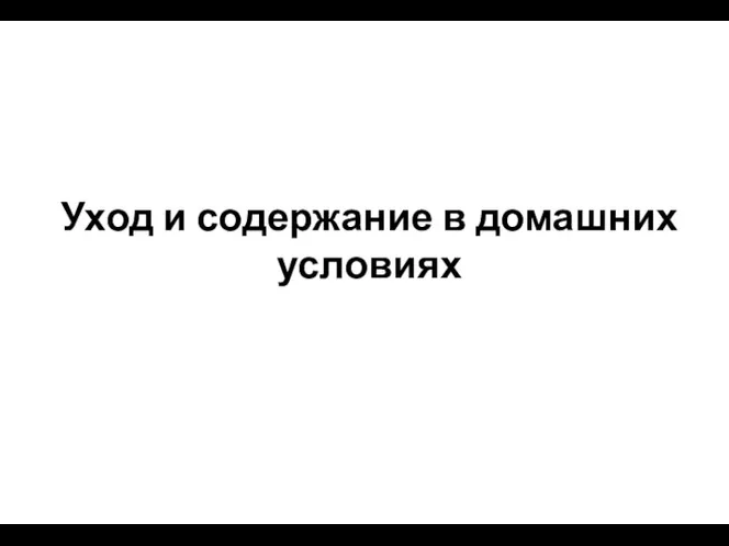 Уход и содержание в домашних условиях