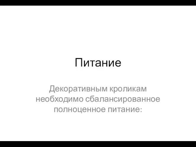 Питание Декоративным кроликам необходимо сбалансированное полноценное питание: