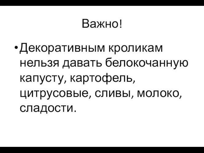 Важно! Декоративным кроликам нельзя давать белокочанную капусту, картофель, цитрусовые, сливы, молоко, сладости.