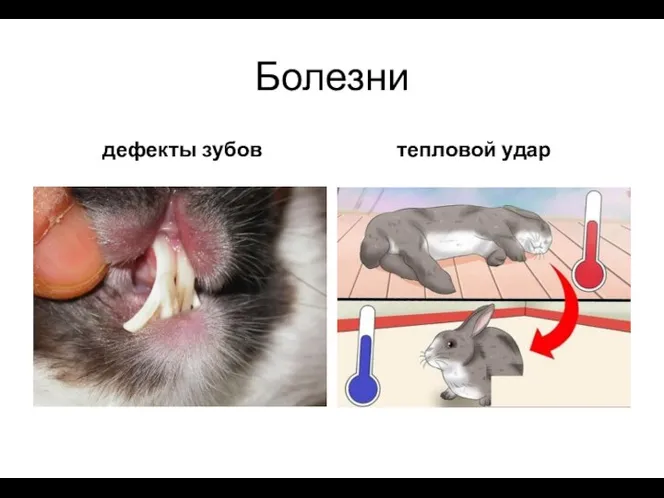 Болезни дефекты зубов тепловой удар