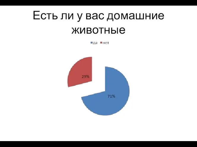 Есть ли у вас домашние животные