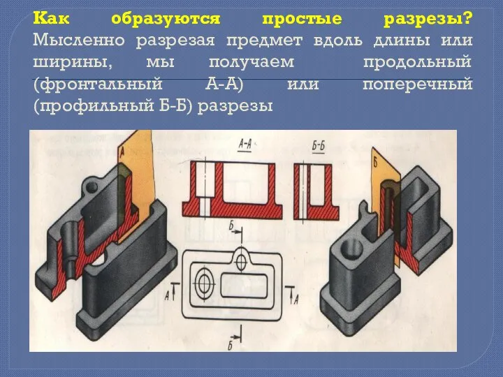 Как образуются простые разрезы? Мысленно разрезая предмет вдоль длины или ширины, мы