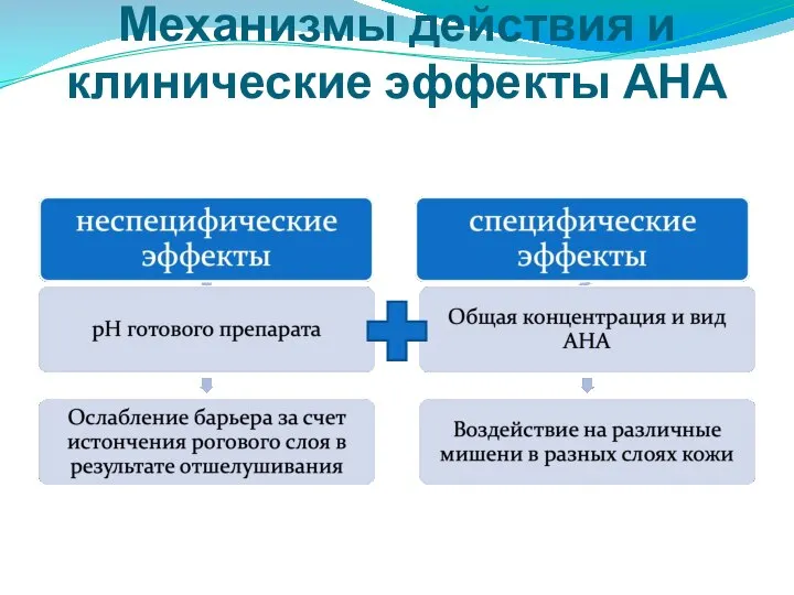 Механизмы действия и клинические эффекты АНА