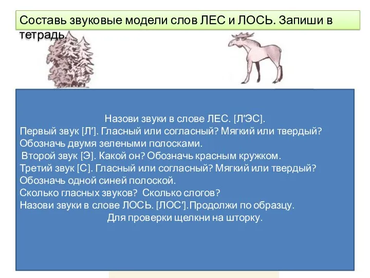 Составь звуковые модели слов ЛЕС и ЛОСЬ. Запиши в тетрадь. Назови звуки