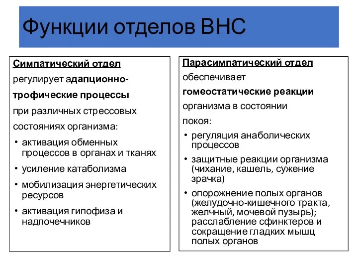 Функции отделов ВНС Симпатический отдел регулирует адапционно- трофические процессы при различных стрессовых