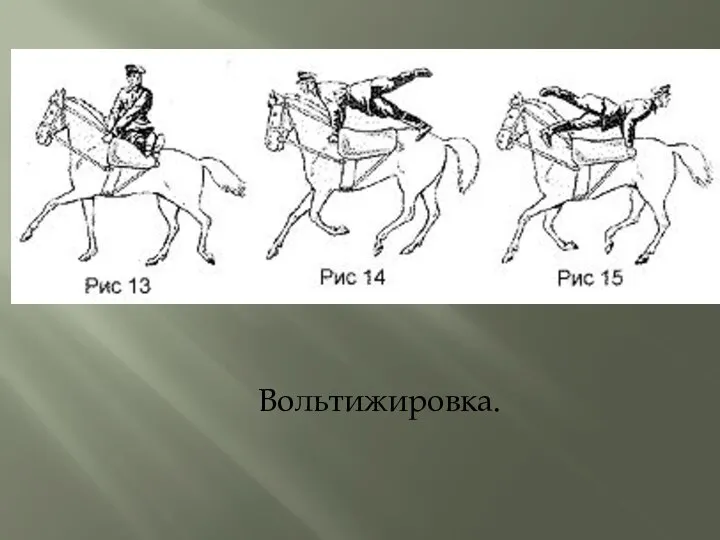 Вольтижировка.