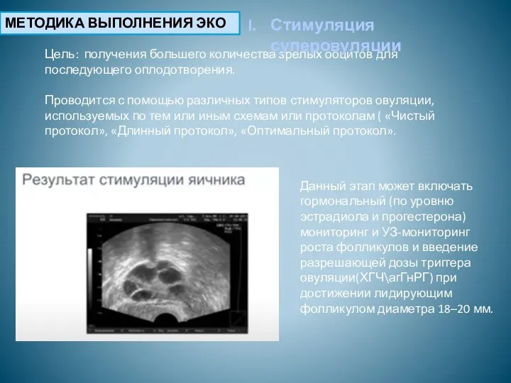 МЕТОДИКА ВЫПОЛНЕНИЯ ЭКО Цель: получения большего количества зрелых ооцитов для последующего оплодотворения.