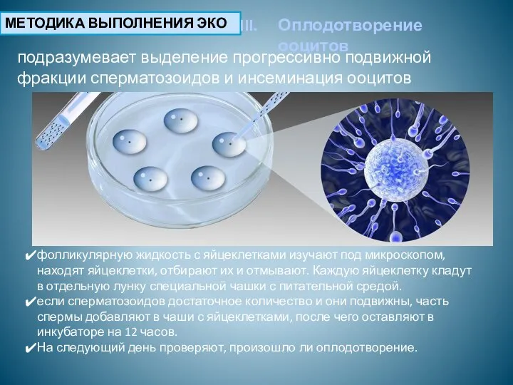 МЕТОДИКА ВЫПОЛНЕНИЯ ЭКО Оплодотворение ооцитов подразумевает выделение прогрессивно подвижной фракции сперматозоидов и