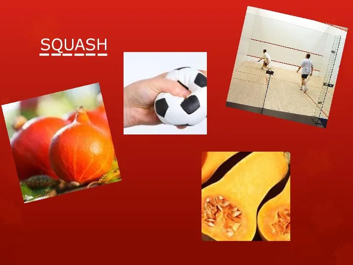 SQUASH