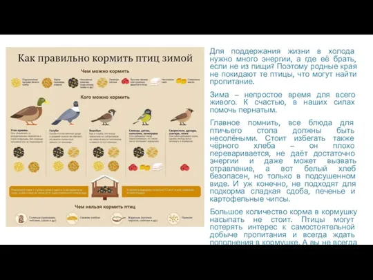 Для поддержания жизни в холода нужно много энергии, а где её брать,