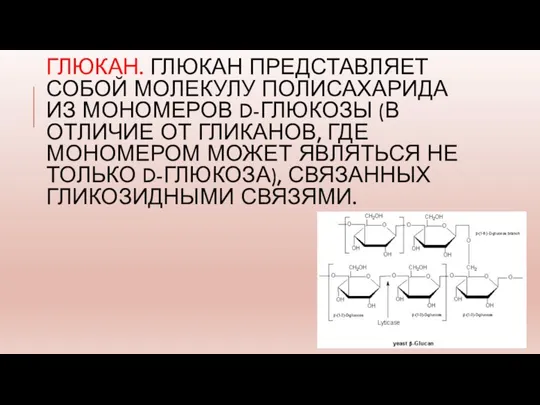 ГЛЮКАН. ГЛЮКАН ПРЕДСТАВЛЯЕТ СОБОЙ МОЛЕКУЛУ ПОЛИСАХАРИДА ИЗ МОНОМЕРОВ D-ГЛЮКОЗЫ (В ОТЛИЧИЕ ОТ