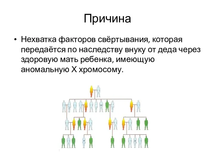 Причина Нехватка факторов свёртывания, которая передаётся по наследству внуку от деда через