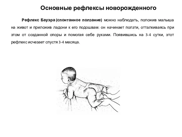 Рефлекс Бауэра (спонтанное ползание) можно наблюдать, положив малыша на живот и приложив