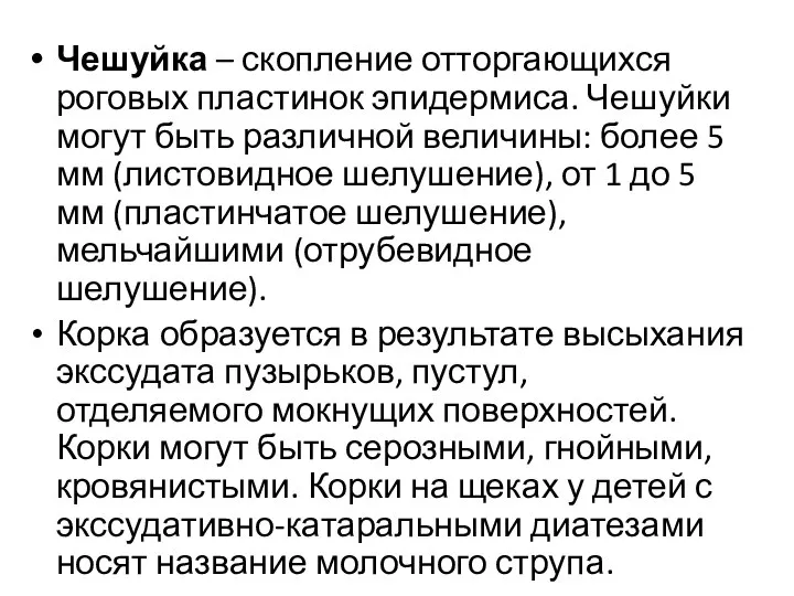 Чешуйка – скопление отторгающихся роговых пластинок эпидермиса. Чешуйки могут быть различной величины: