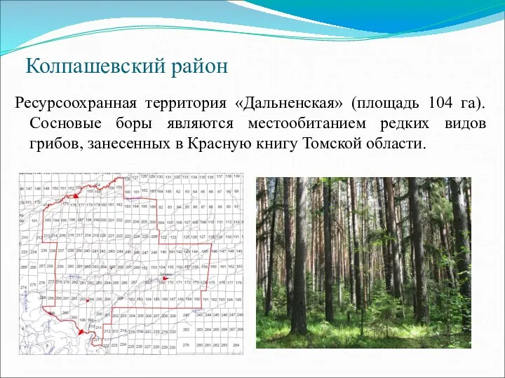 Колпашевский район Ресурсоохранная территория «Дальненская» (площадь 104 га). Сосновые боры являются местообитанием