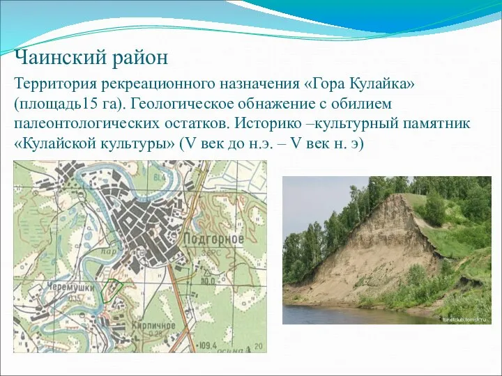 Чаинский район Территория рекреационного назначения «Гора Кулайка» (площадь15 га). Геологическое обнажение с