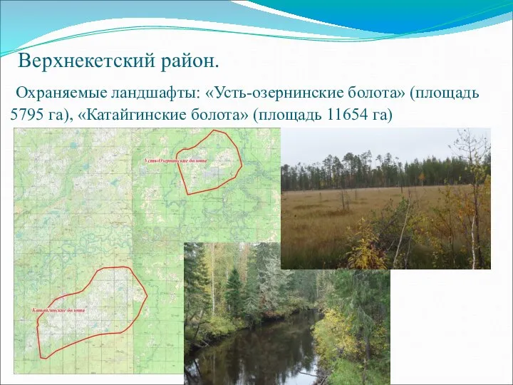 Верхнекетский район. Охраняемые ландшафты: «Усть-озернинские болота» (площадь 5795 га), «Катайгинские болота» (площадь 11654 га)