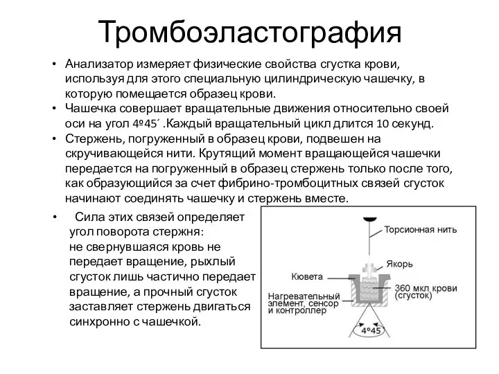 Тромбоэластография Сила этих связей определяет угол поворота стержня: не свернувшаяся кровь не