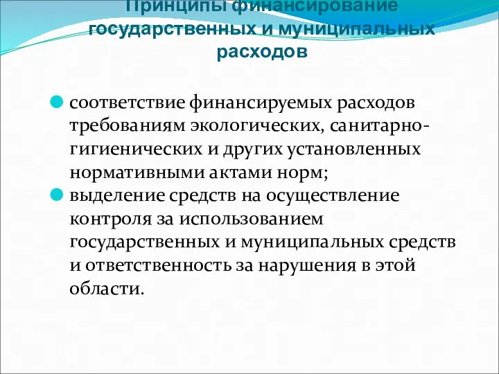 Принципы финансирование государственных и муниципальных расходов соответствие финансируемых расходов требованиям экологических, санитарно-гигиенических