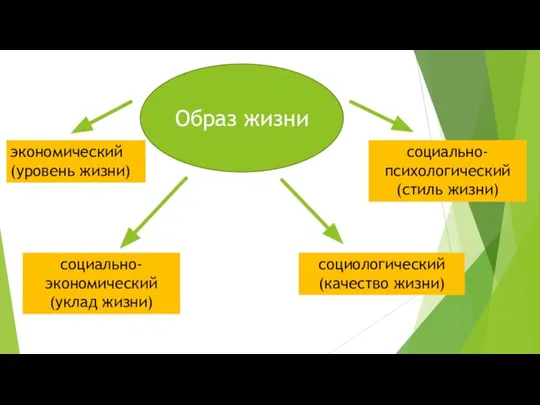 Образ жизни экономический (уровень жизни) социально- экономический (уклад жизни) социологический (качество жизни) социально-психологический (стиль жизни)