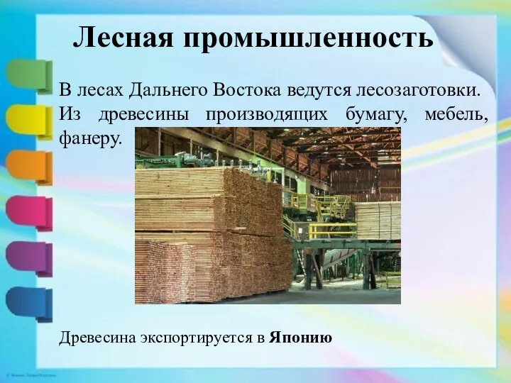 Лесная промышленность В лесах Дальнего Востока ведутся лесозаготовки. Из древесины производящих бумагу,