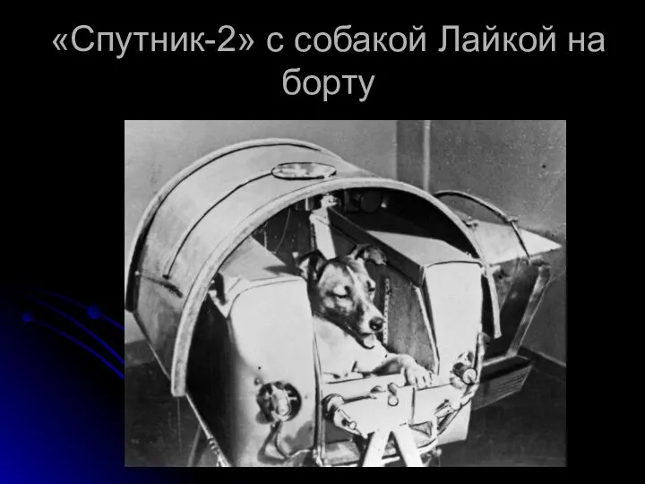 «Спутник-2» с собакой Лайкой на борту