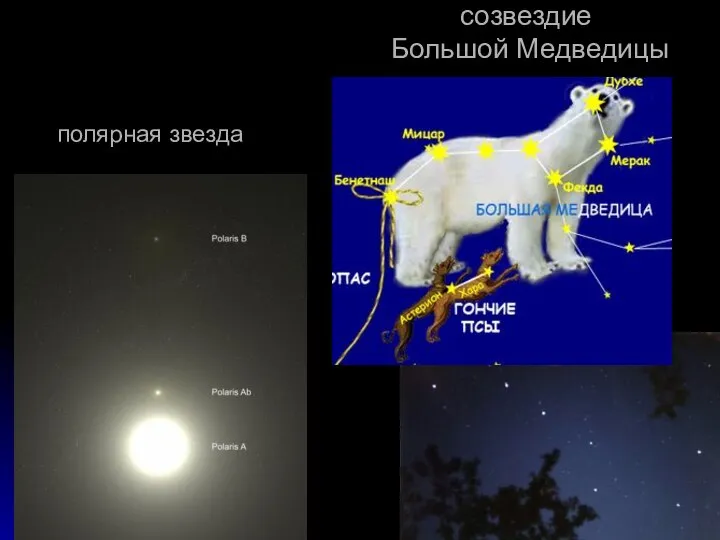 созвездие Большой Медведицы полярная звезда