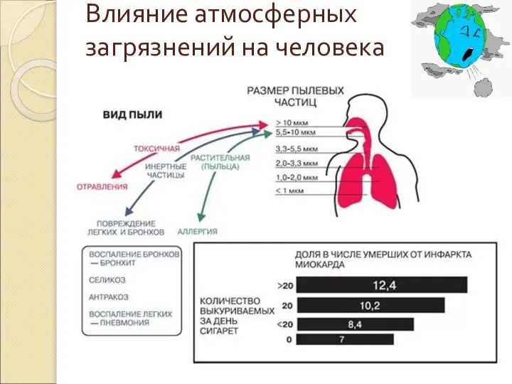 Влияние атмосферных загрязнений на человека