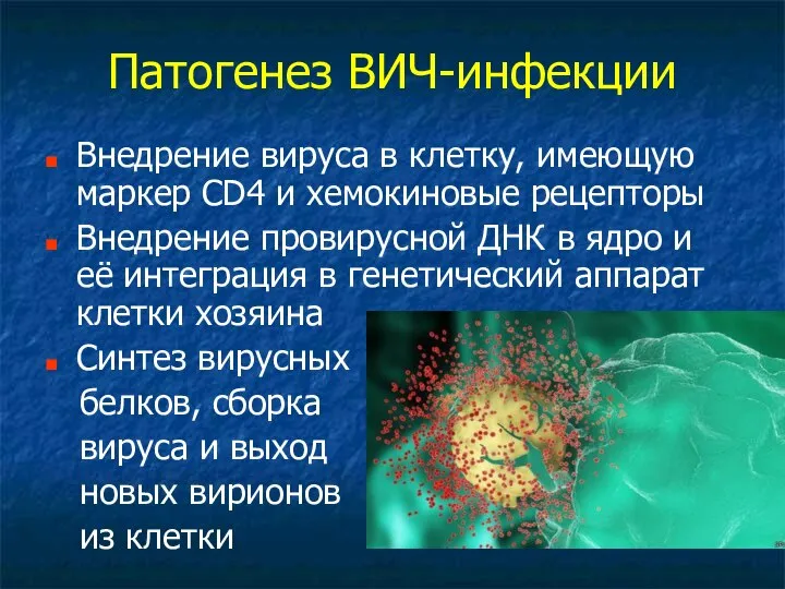 Патогенез ВИЧ-инфекции Внедрение вируса в клетку, имеющую маркер CD4 и хемокиновые рецепторы