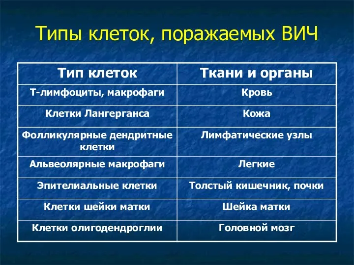 Типы клеток, поражаемых ВИЧ