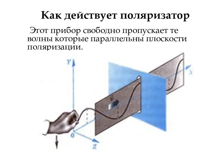 Этот прибор свободно пропускает те волны которые параллельны плоскости поляризации. Как действует поляризатор