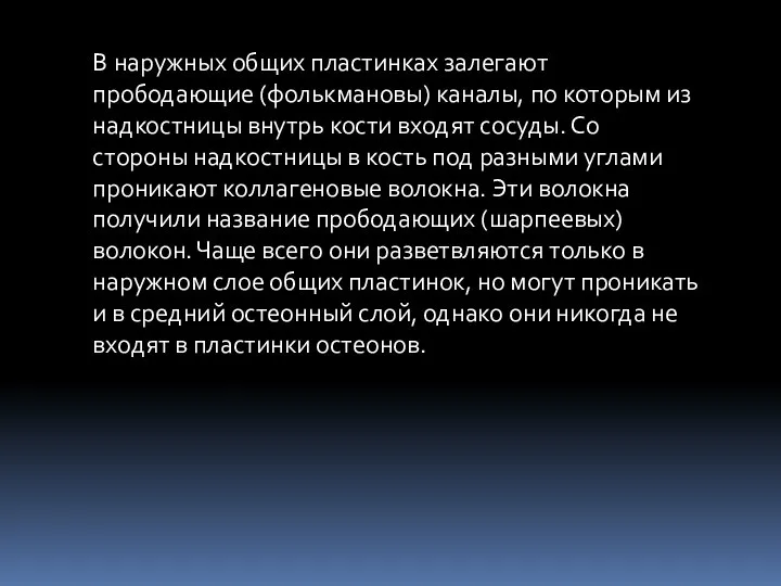 В наружных общих пластинках залегают прободающие (фолькмановы) каналы, по которым из надкостницы