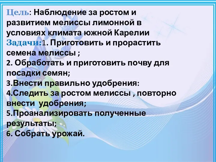 Цель: Наблюдение за ростом и развитием мелиссы лимонной в условиях климата южной