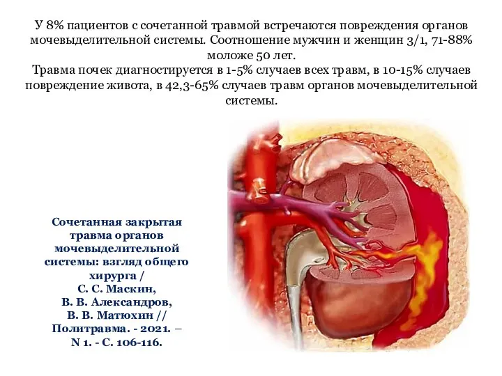 Сочетанная закрытая травма органов мочевыделительной системы: взгляд общего хирурга / С. С.